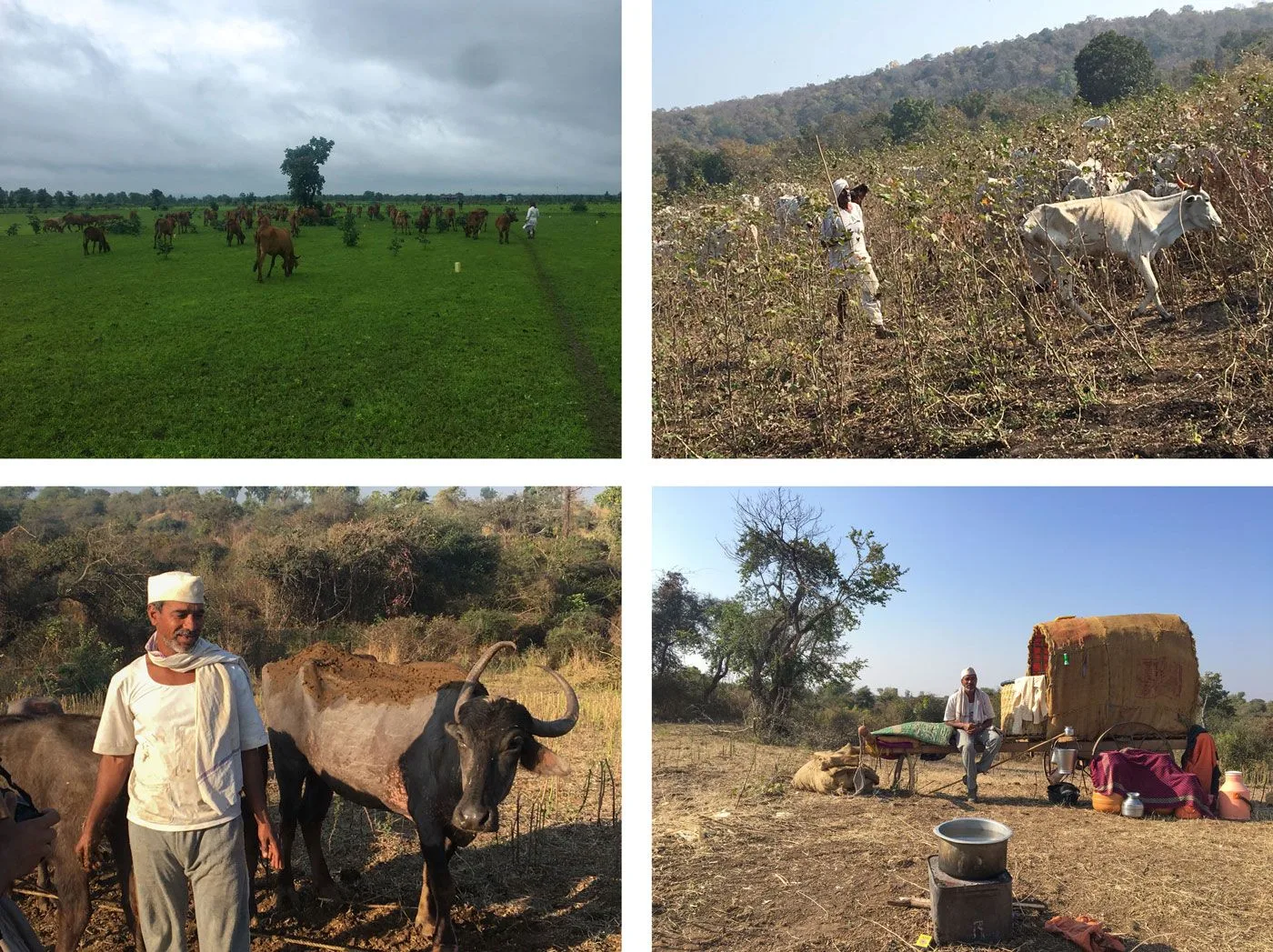 03_JH_CB_7c6b651a7e