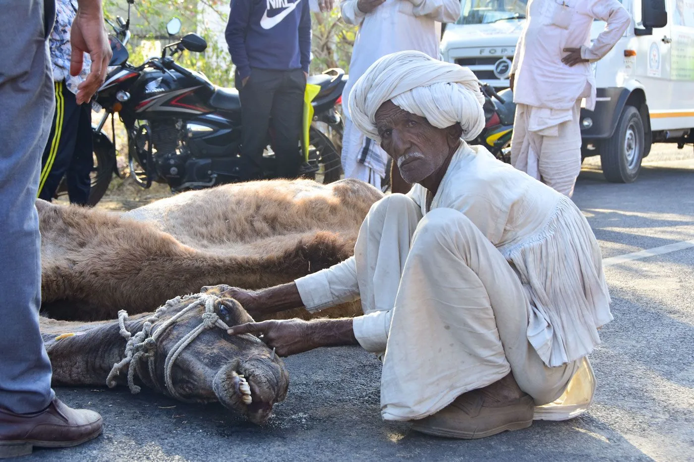 04_DSC_7241_JH_The_Kachchh_caravan_stumbles_on_Qj_Bu_T3_U_1295a771c1