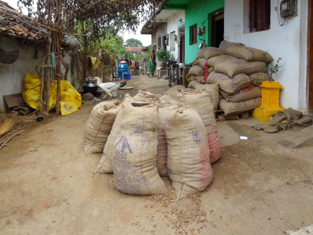 04a_DSC_05000_JH_Gondias_poor_still_bank_on_3_Ms_Mahua_MNREGA_and_Migration_f76d1687b3
