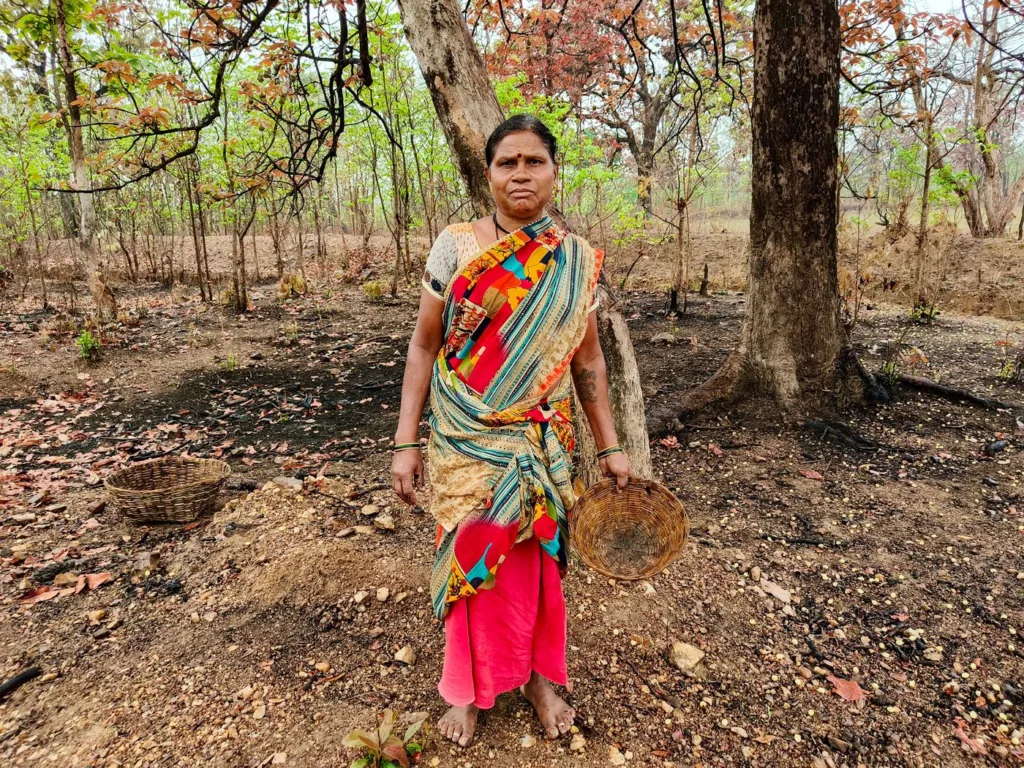 06b_IMG_20240413091639_JH_Gondias_poor_still_bank_on_3_Ms_Mahua_MNREGA_and_M_011eb415ee