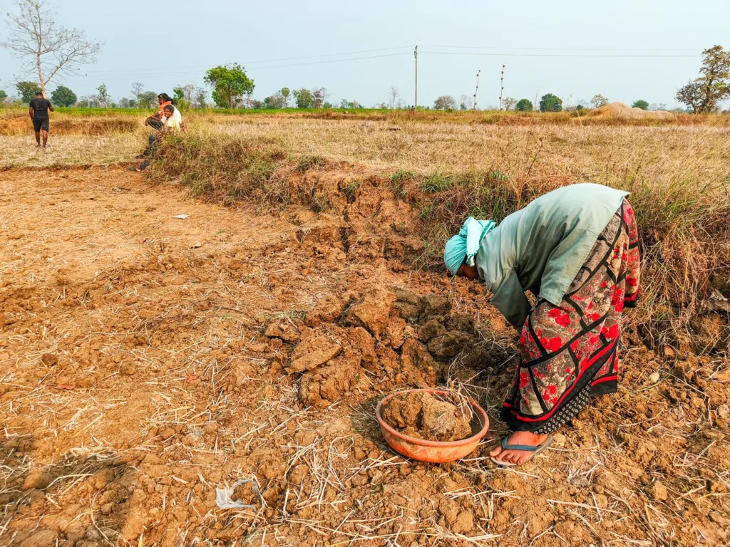 07b_IMG_20240408155803_JH_Gondias_poor_still_bank_on_3_Ms_Mahua_MNREGA_and_M_319d0f4bb7